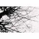 Stille, Schwarz Weiß Fotografie, Analogfotografie, Nadeshda Horte